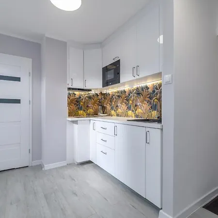 Old Town And River View * Gdańsk