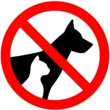 Old Town And River View * 格但斯克