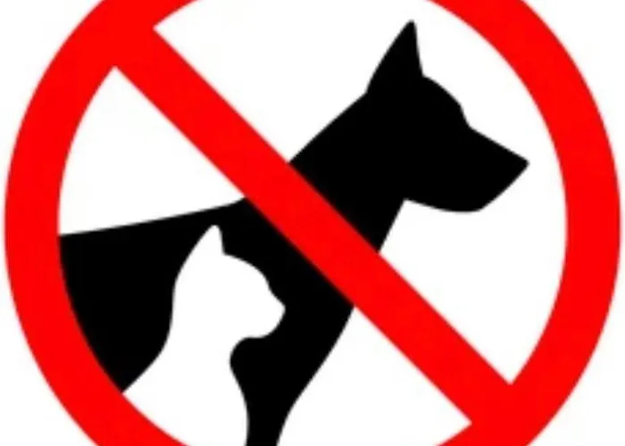 Old Town And River View * Gdaňsk